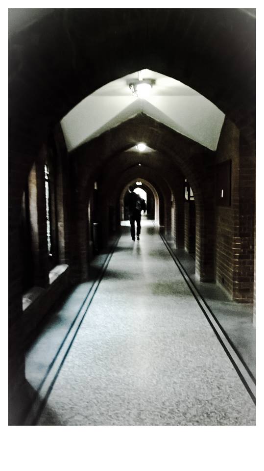 13495198_10157081038425484_7753546394648192294_n