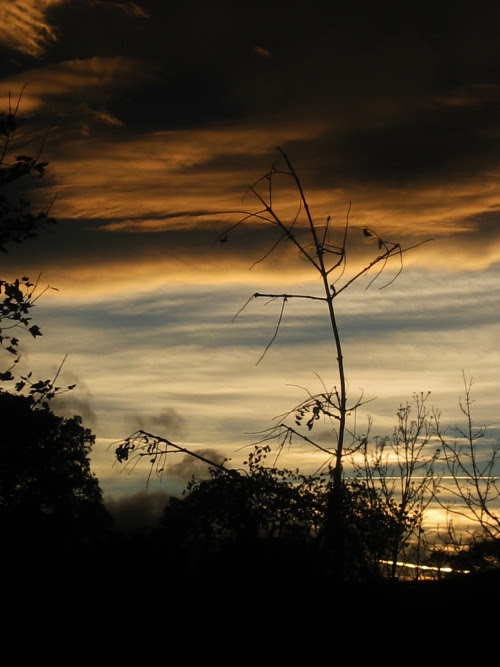 cC5Ah9nJAPuMjYrVODu1a2uhv8JxrloC1ynIrLPR8tPhDfQCnTmt3G1IZBxijVXC3-RAAlF3YYrggvgyVekh99T9F1Js9EEoscxNsfvMdeUQCRrJiOPIGYQZKnL8Htv5aWJFz8-f9CX64RQhqb-wHL6Km8U=s0-d-e1-ft