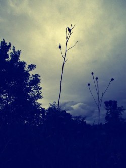 sCIve5IMSP7-_YGYPzK3kHwOr7cWcaiKM7pMrPrJWsLIReJL35mNSyBiSN9F1g6NNmtRRhUqwPo6s2MOGgI_-wEKZkzcUQvyndJAeiBX_1grFYWrDeewiZn69bvtVgj6j6Y6UQ1O5ufxVRVbL9EQEUFDniE=s0-d-e1-ft