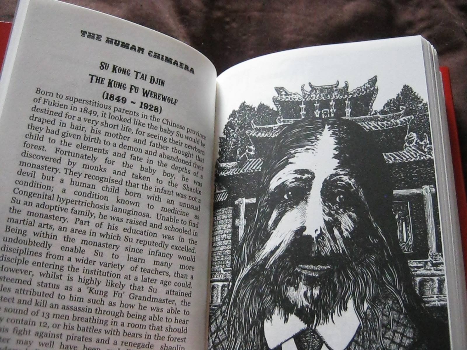 10547123_10152743170831952_4386948785573438871_o