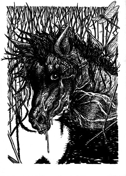 1930441_22148011951_3345_n