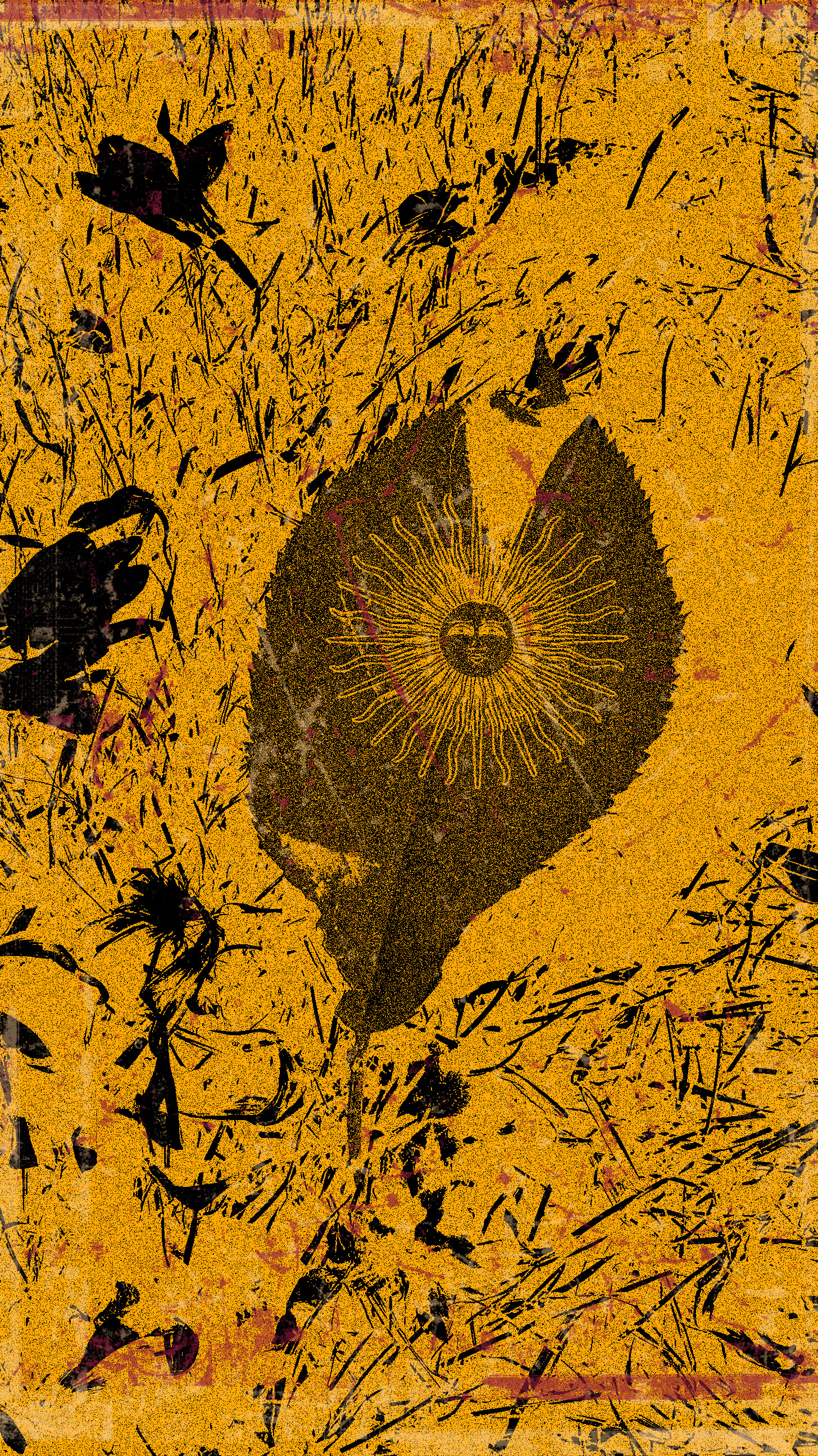 WP_20160922_15_45_39_Pro (2).jpg