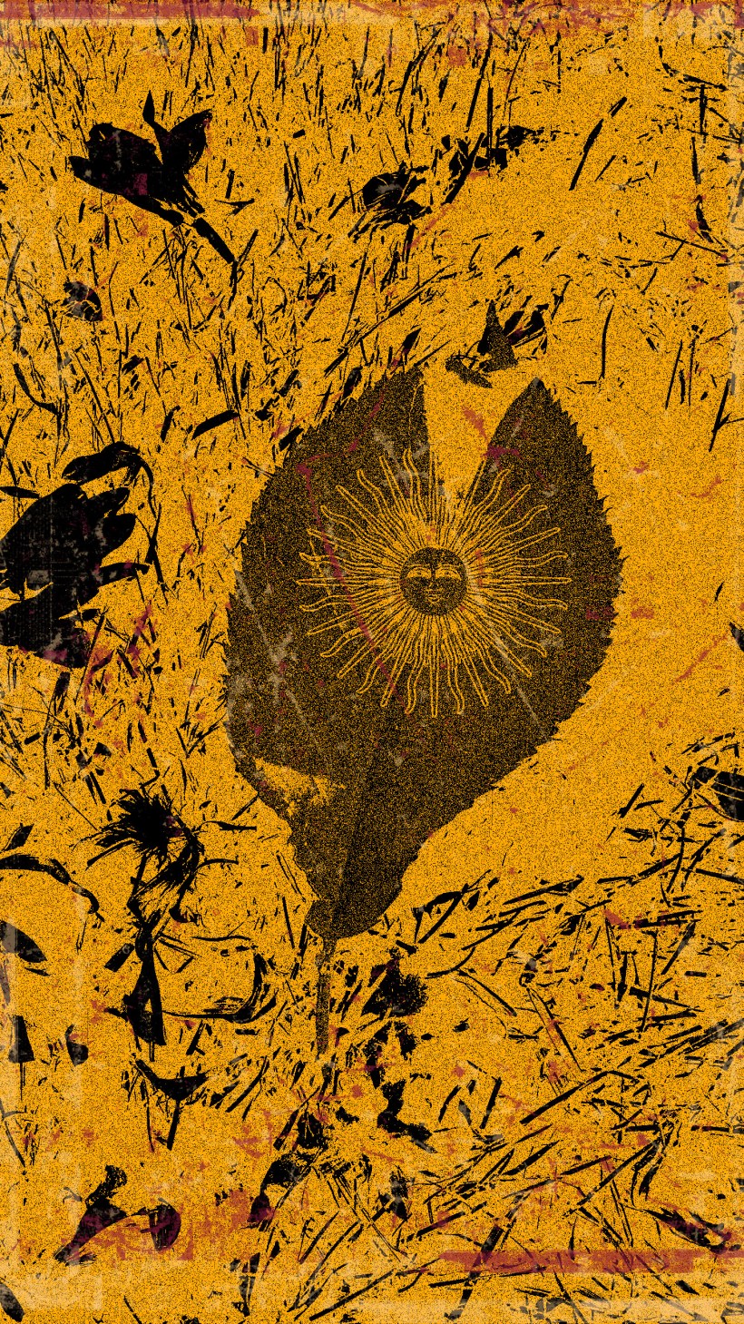 WP_20160922_15_45_39_Pro (2).jpg