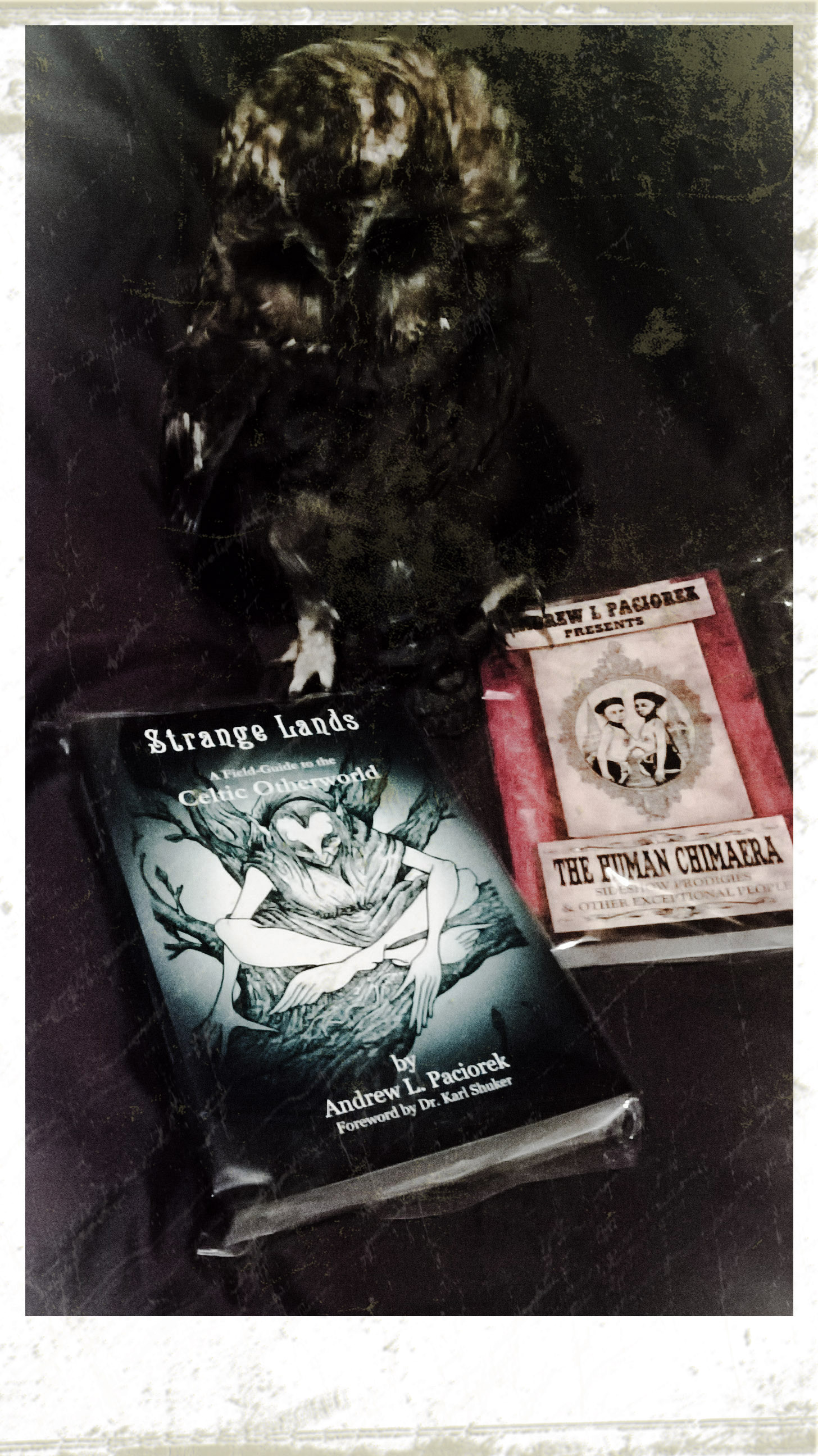 wp_20161008_17_20_37_pro