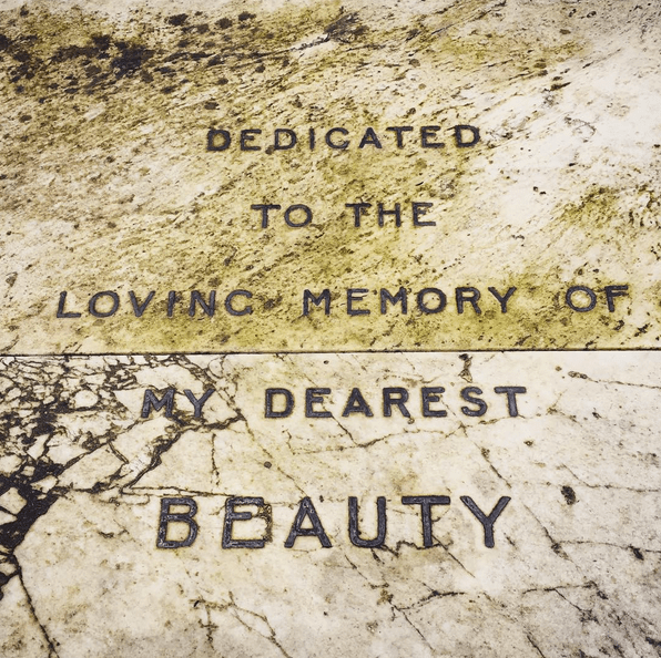 screen-shot-2017-01-08-at-20-37-32