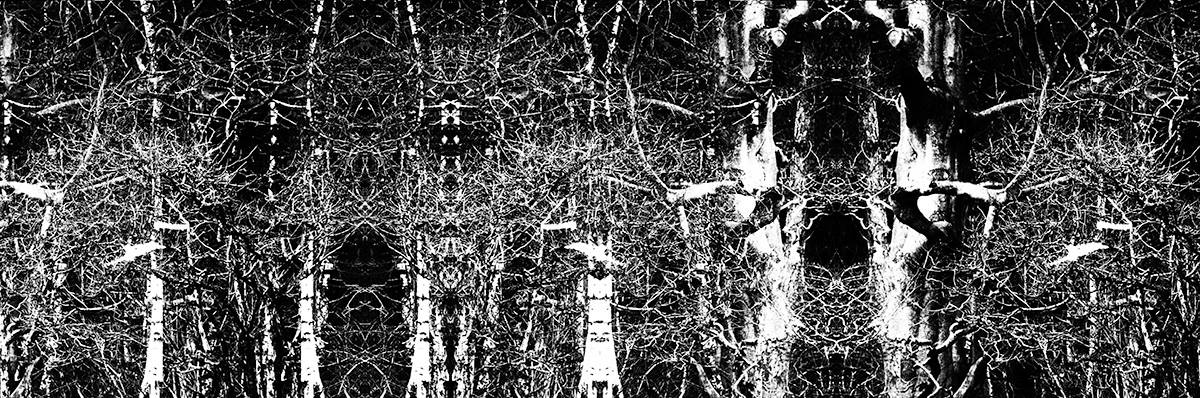 18297283_1478541075551028_562663136_o