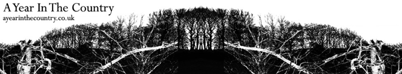 18317935_1478540725551063_1953895057_o