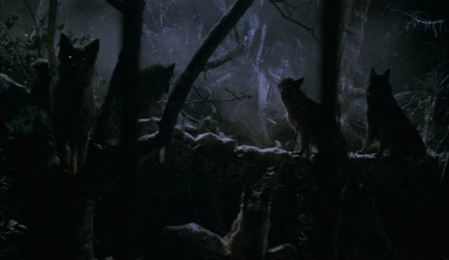 786d1425d2009aa39c09ab90b82f7374