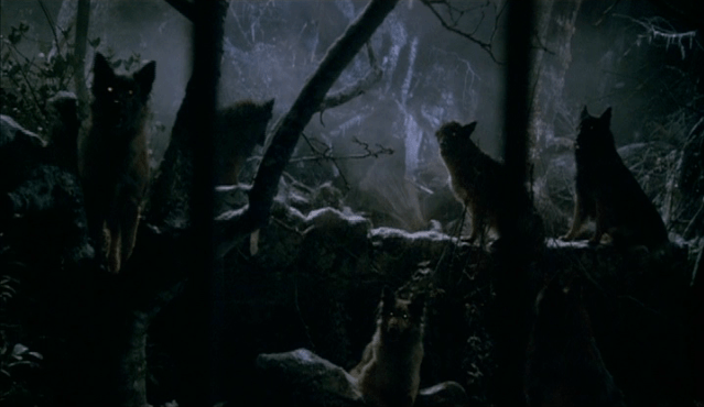 786d1425d2009aa39c09ab90b82f7374