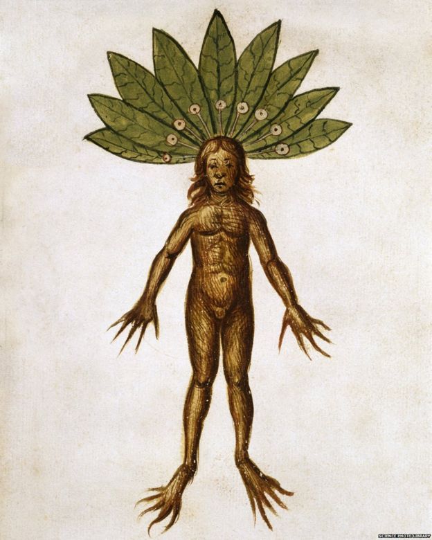 _84253841_mandrake-man-spl-976