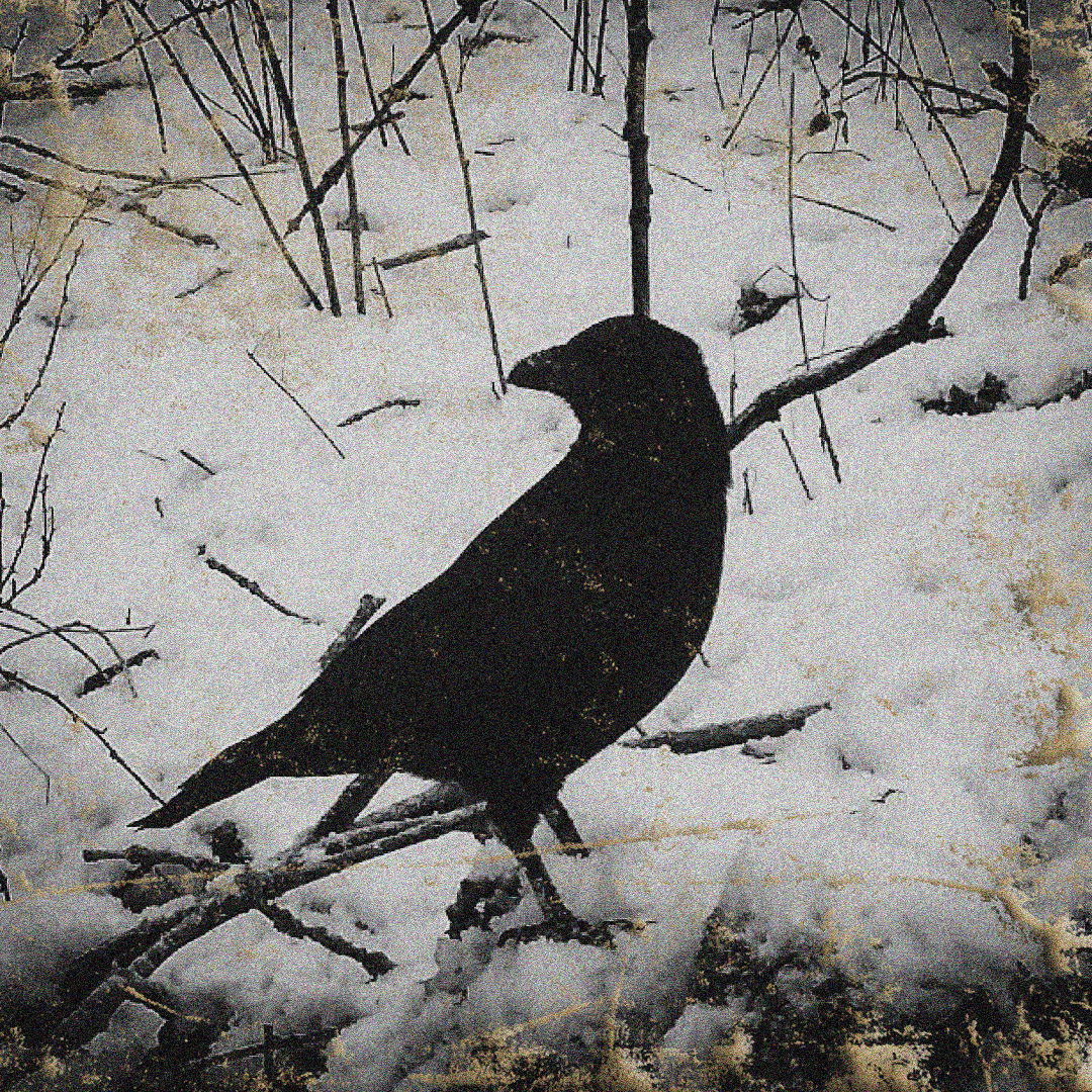 IMG_20180121_083911_382a