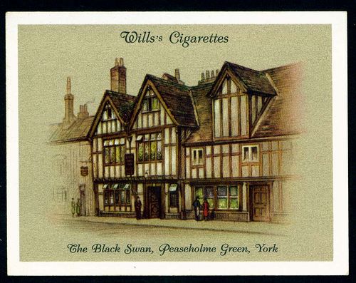 dcb36ce40345af8fdbe35870a62d6e57--the-black-swan-swans