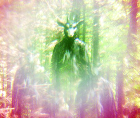 black mountain trans