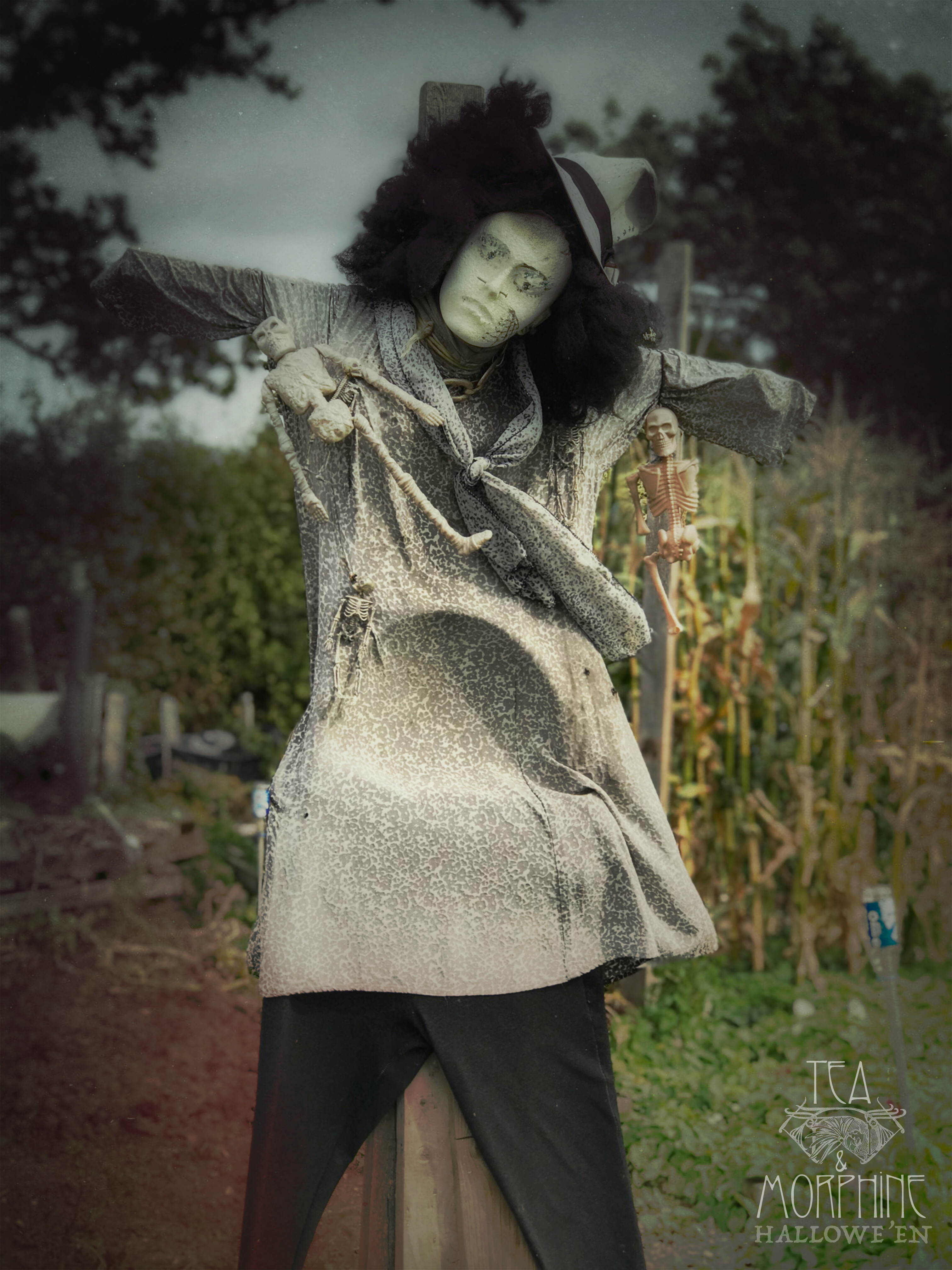 Folk Horror Tea & Morphine 1.jpg