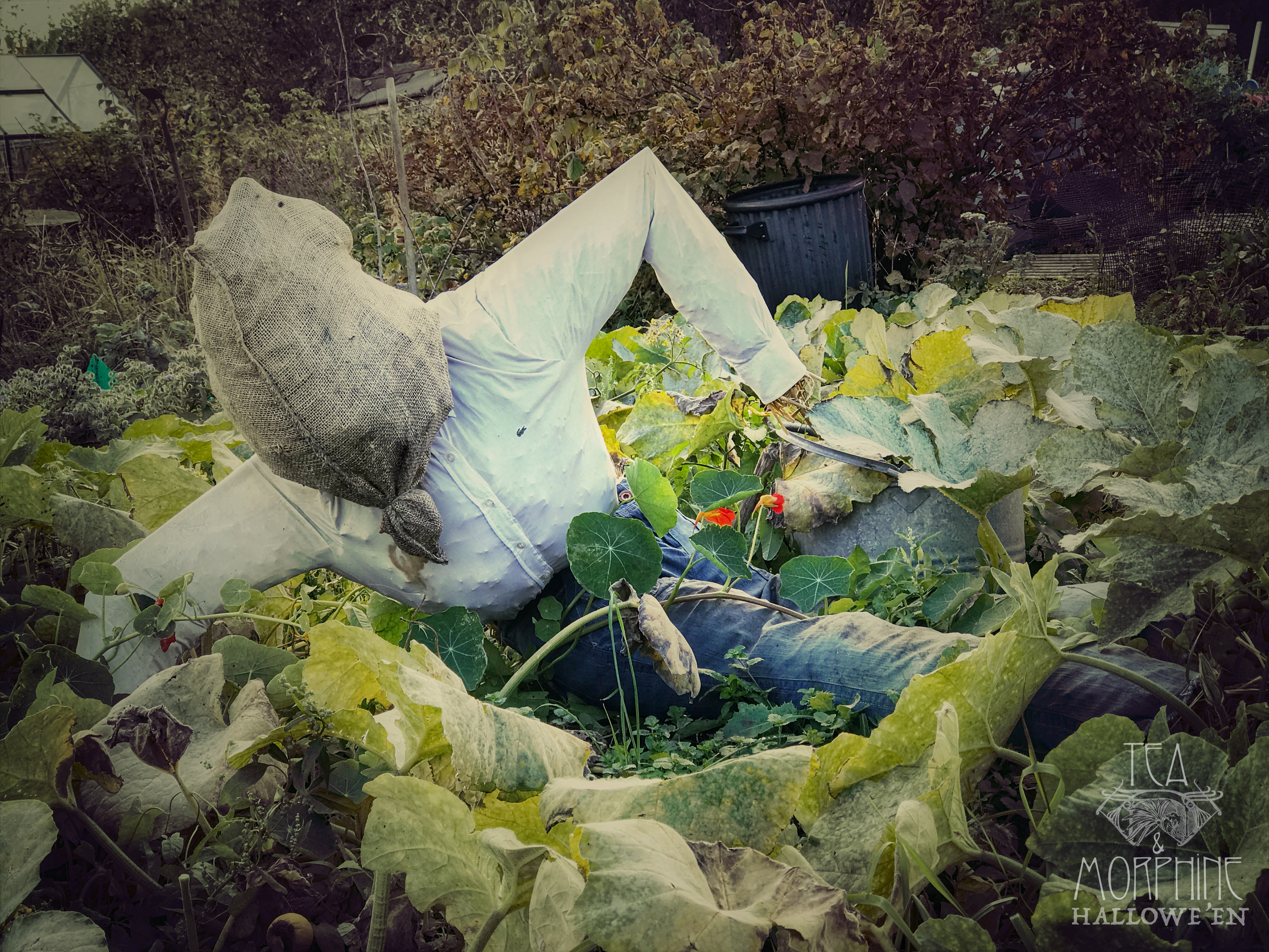 Folk Horror Tea & Morphine 2.jpg