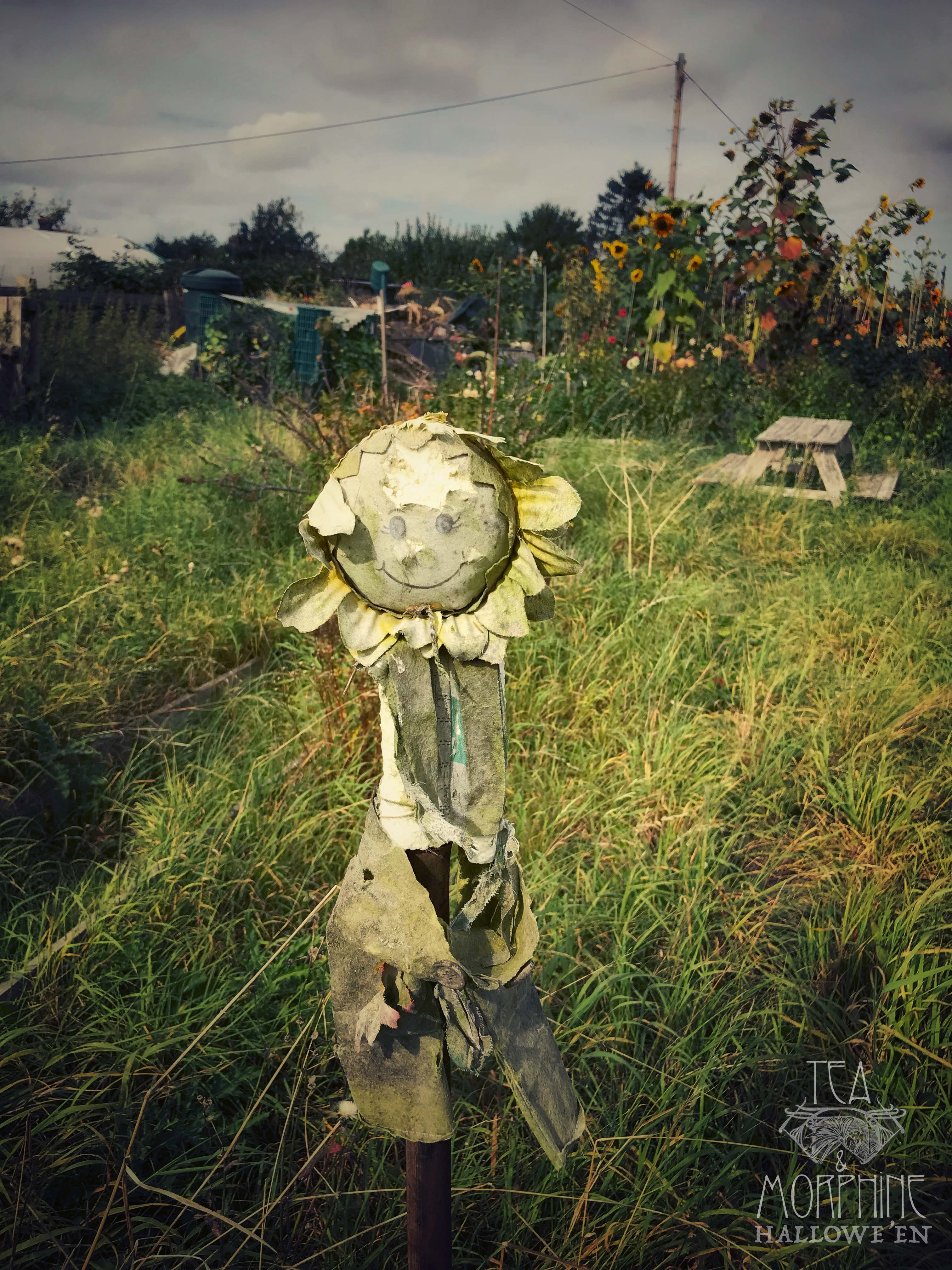 Folk Horror Tea &amp; Morphine 4