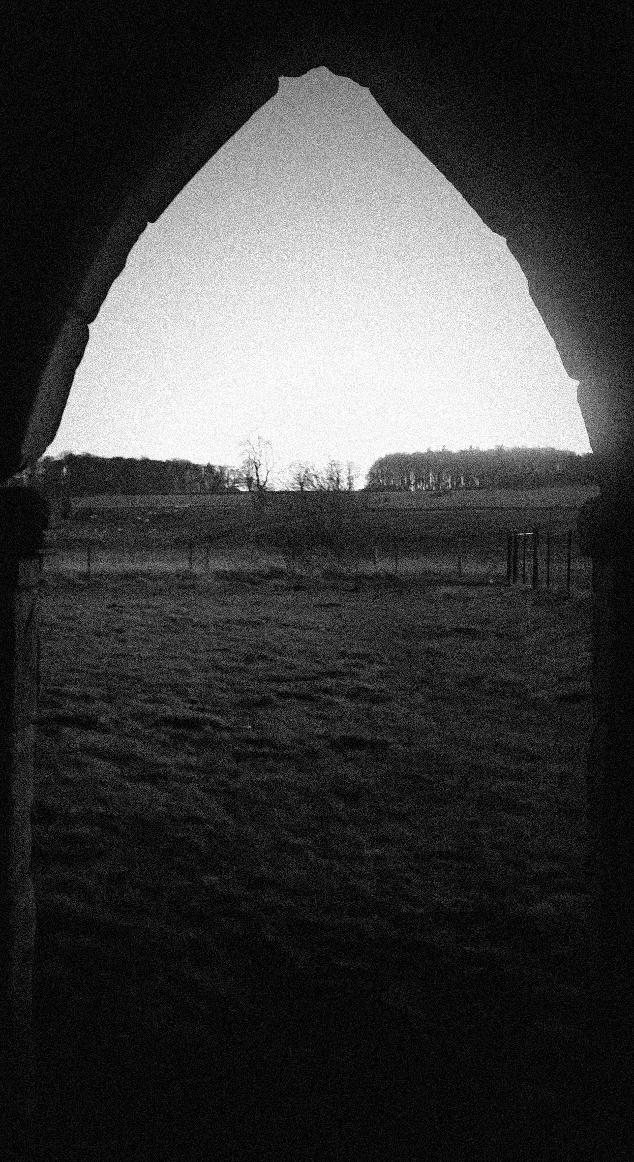 AdobePhotoshopExpress_59d9ff3f67db4099b2ea304ffe3462a9