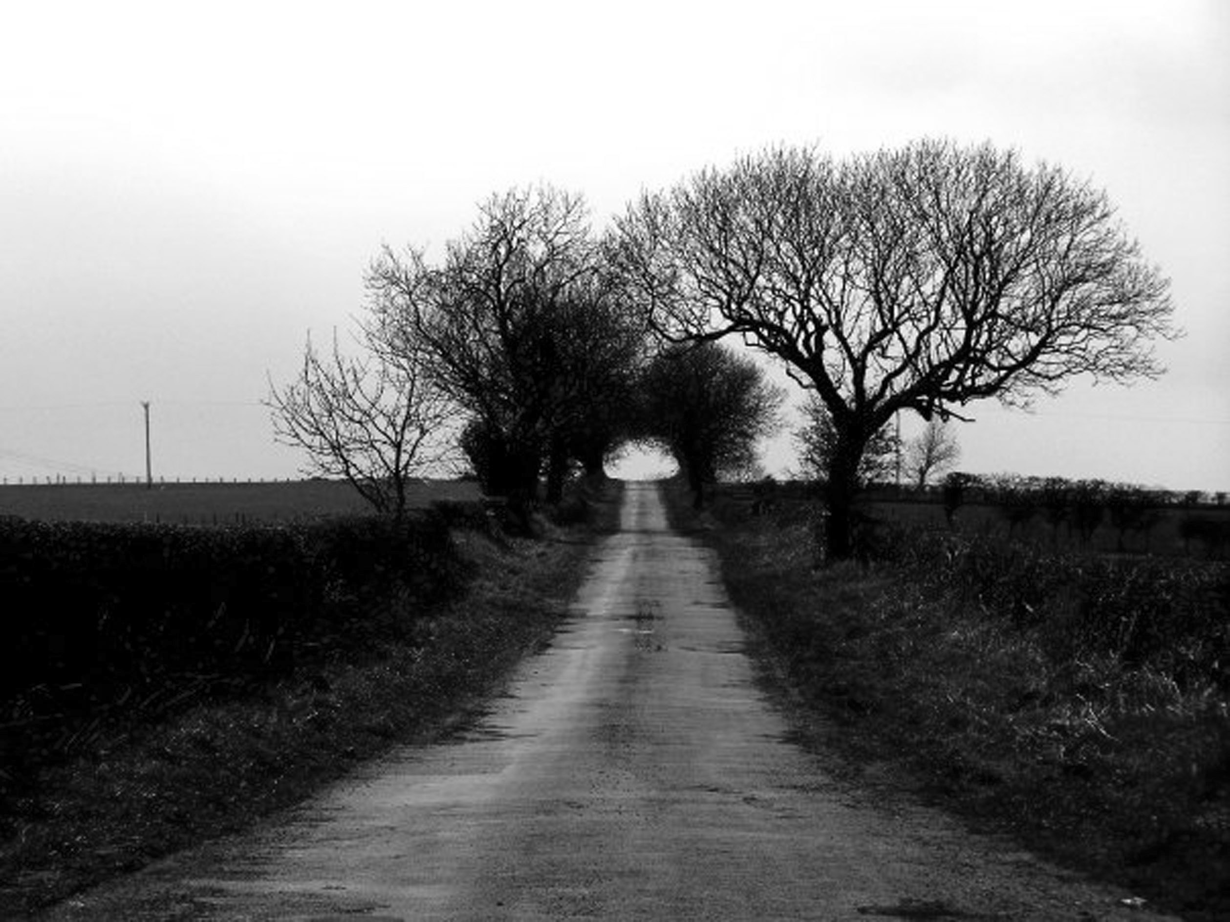 douglas lane gibbets hill