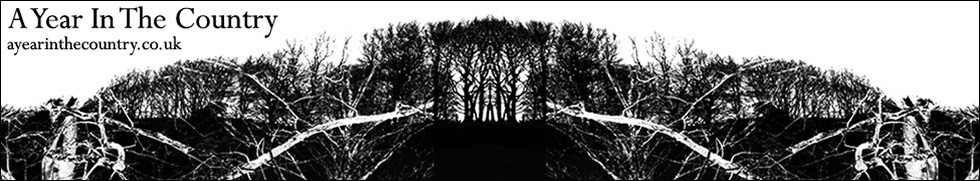 AYITC_header_1px_black_stroke